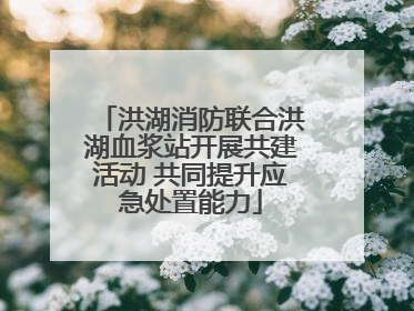 洪湖消防联合洪湖血浆站开展共建活动 共同提升应急处置能力