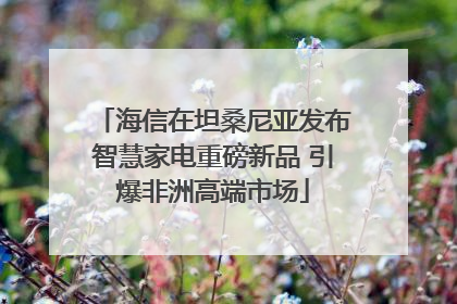 海信在坦桑尼亚发布智慧家电重磅新品 引爆非洲高端市场
