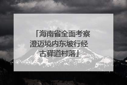 海南省全面考察澄迈境内东坡行经古驿道村落
