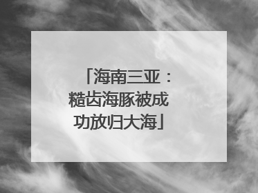 海南三亚：糙齿海豚被成功放归大海