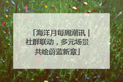 海洋月每周潮讯｜社群联动，多元场景共绘蔚蓝新章