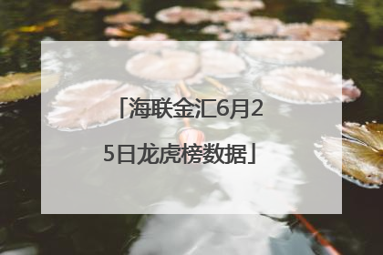 海联金汇6月25日龙虎榜数据