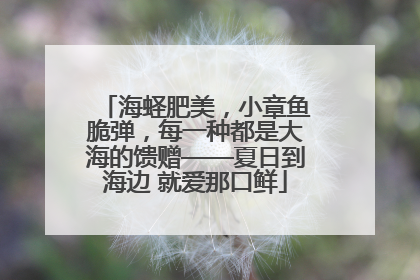海蛏肥美，小章鱼脆弹，每一种都是大海的馈赠——夏日到海边 就爱那口鲜