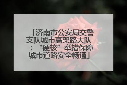 济南市公安局交警支队城市高架路大队：“硬核”举措保障城市道路安全畅通