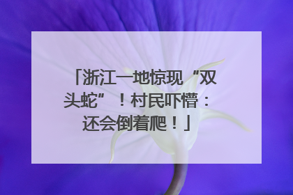 浙江一地惊现“双头蛇”！村民吓懵：还会倒着爬！