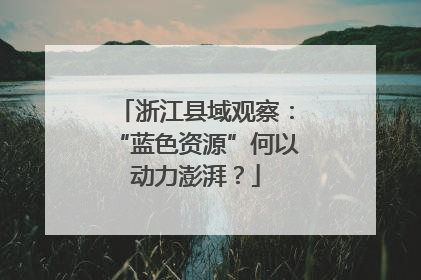 浙江县域观察：“蓝色资源”何以动力澎湃？