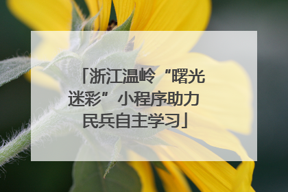 浙江温岭“曙光迷彩”小程序助力民兵自主学习