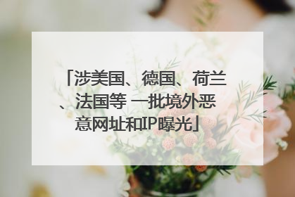 涉美国、德国、荷兰、法国等 一批境外恶意网址和IP曝光
