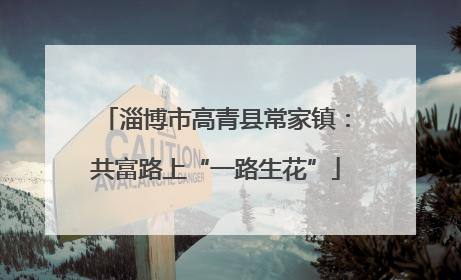 淄博市高青县常家镇：共富路上“一路生花”