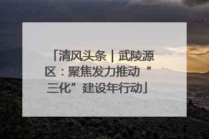 清风头条｜武陵源区：聚焦发力推动“三化”建设年行动