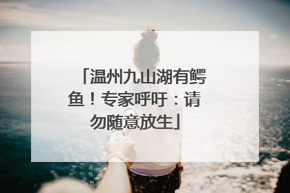 温州九山湖有鳄鱼！专家呼吁：请勿随意放生