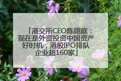 港交所CEO陈翊庭：现在是外资投资中国资产好时机，港股IPO排队企业超160家