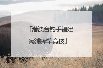 港澳台钓手福建霞浦挥竿竞技