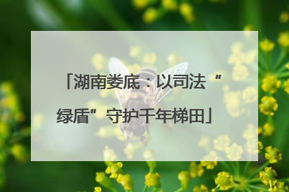 湖南娄底：以司法“绿盾”守护千年梯田