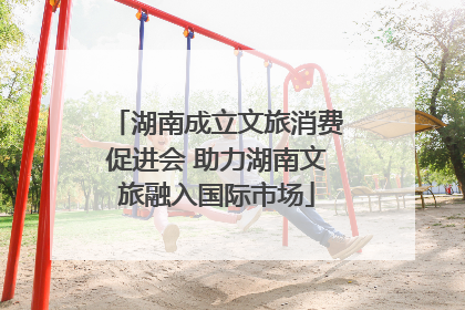 湖南成立文旅消费促进会 助力湖南文旅融入国际市场