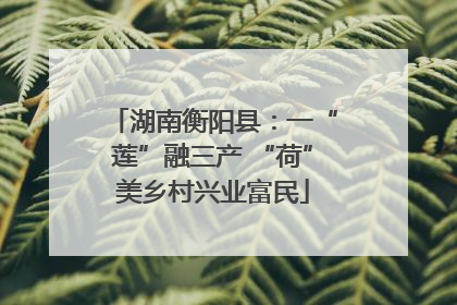 湖南衡阳县：一“莲”融三产 “荷”美乡村兴业富民