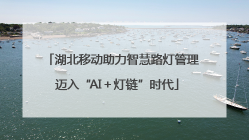 湖北移动助力智慧路灯管理迈入“AI＋灯链”时代