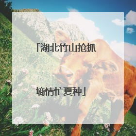 湖北竹山抢抓墒情忙夏种