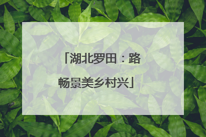 湖北罗田：路畅景美乡村兴