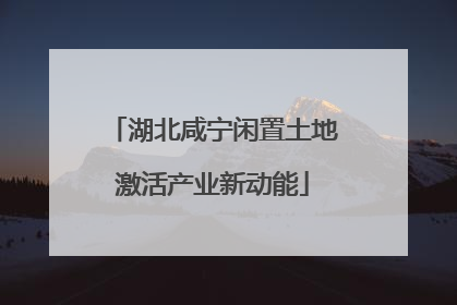 湖北咸宁闲置土地激活产业新动能