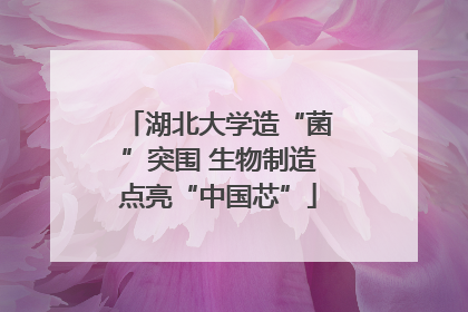 湖北大学造“菌”突围 生物制造点亮“中国芯”