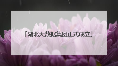 湖北大数据集团正式成立