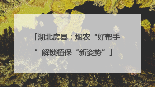 湖北房县：烟农“好帮手”解锁植保“新姿势”