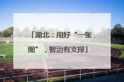 湖北：用好“一张图”，智治有支撑