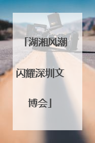 湖湘风潮闪耀深圳文博会
