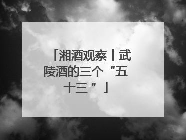 湘酒观察丨武陵酒的三个“五十三 ”