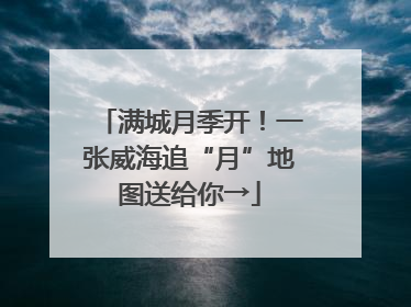 满城月季开！一张威海追“月”地图送给你→