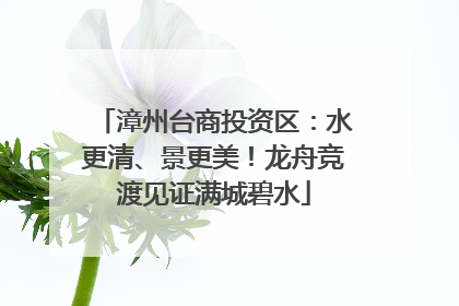 漳州台商投资区：水更清、景更美！龙舟竞渡见证满城碧水