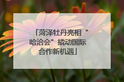 菏泽牡丹亮相“哈洽会”撬动国际合作新机遇