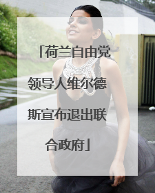 荷兰自由党领导人维尔德斯宣布退出联合政府