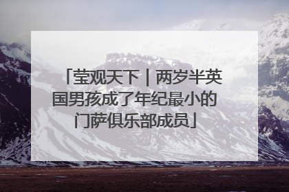 莹观天下｜两岁半英国男孩成了年纪最小的门萨俱乐部成员