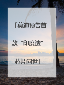莫迪预告首款“印度造”芯片问世