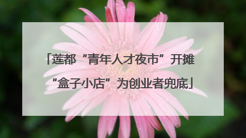 莲都“青年人才夜市”开摊 “盒子小店”为创业者兜底