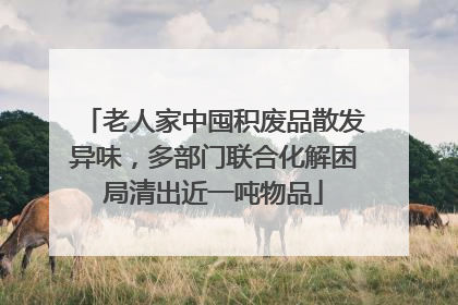 老人家中囤积废品散发异味，多部门联合化解困局清出近一吨物品