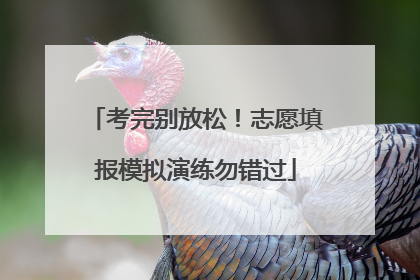 考完别放松！志愿填报模拟演练勿错过