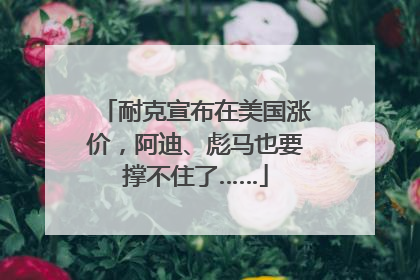 耐克宣布在美国涨价，阿迪、彪马也要撑不住了……