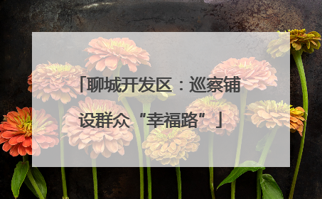 聊城开发区：巡察铺设群众“幸福路”