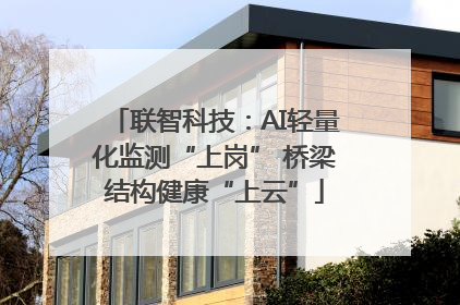 联智科技：AI轻量化监测“上岗” 桥梁结构健康“上云”