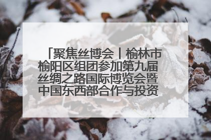 聚焦丝博会丨榆林市榆阳区组团参加第九届丝绸之路国际博览会暨中国东西部合作与投资贸易洽谈会