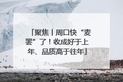 聚焦丨周口快“麦罢”了！收成好于上年、品质高于往年