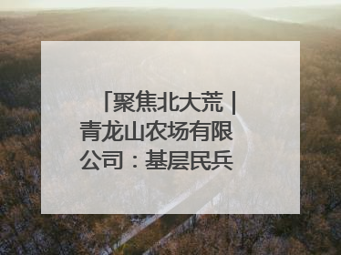 聚焦北大荒｜青龙山农场有限公司：基层民兵参与农业环境综合治理显效