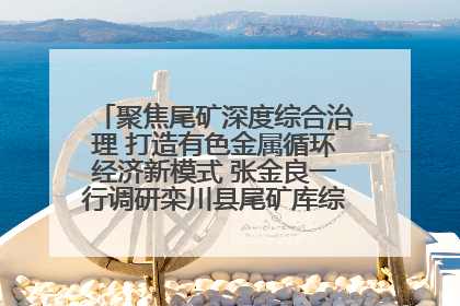 聚焦尾矿深度综合治理 打造有色金属循环经济新模式 张金良一行调研栾川县尾矿库综合治理工作