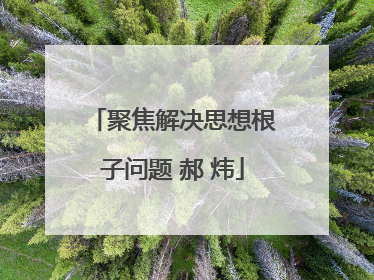 聚焦解决思想根子问题 郝 炜