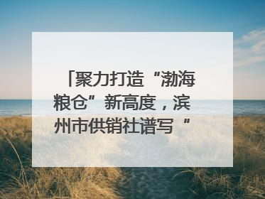 聚力打造“渤海粮仓”新高度，滨州市供销社谱写“三夏”丰收乐章