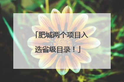 肥城两个项目入选省级目录！