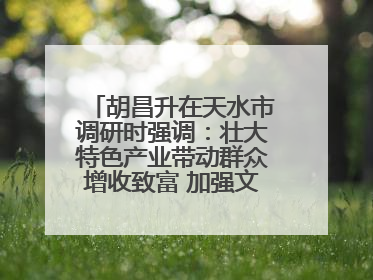 胡昌升在天水市调研时强调：壮大特色产业带动群众增收致富 加强文物保护推动文化创新发展
